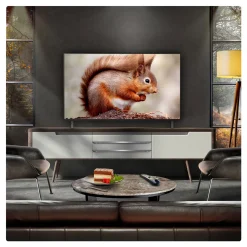 48 Inch OLED 4K Smart Entry TV