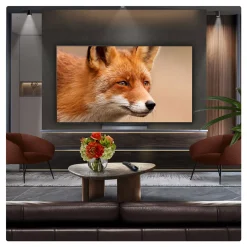 65 Inch OLED 4K Smart TV