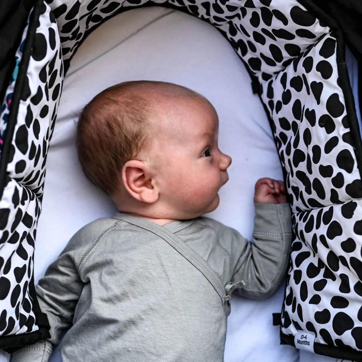 Animal Print Reversible Sensory Strip