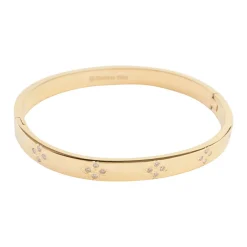 Astrid Bangle