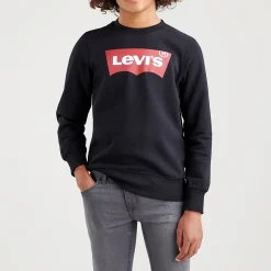 Batwing Logo Sweatshirt 10-14 Years