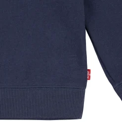Batwing Logo Sweatshirt 6-8 Years