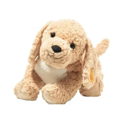Berno Goldendoodle 36 cm