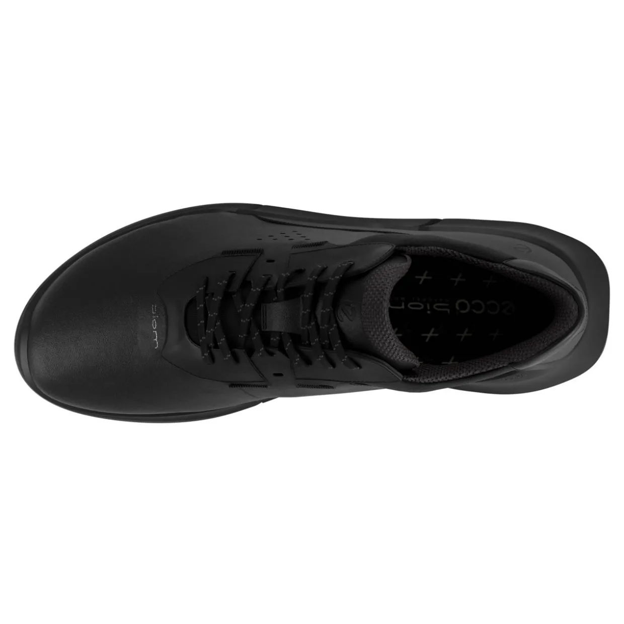 Biom 2.2 Trainers