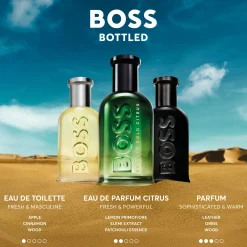 Bold Citrus EDP for Men