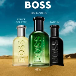 Bold Citrus EDP for Men