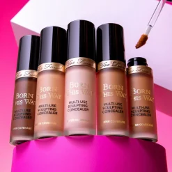 Born This Way Super Coverage Multi-Use Concealer