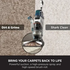 Carpet Expert & Stain Striker