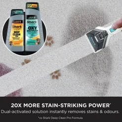 Carpet Expert & Stain Striker