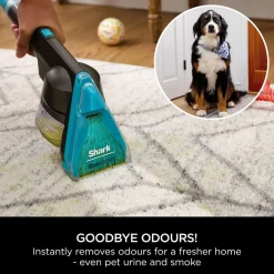 CarpetXpert Pet Pro