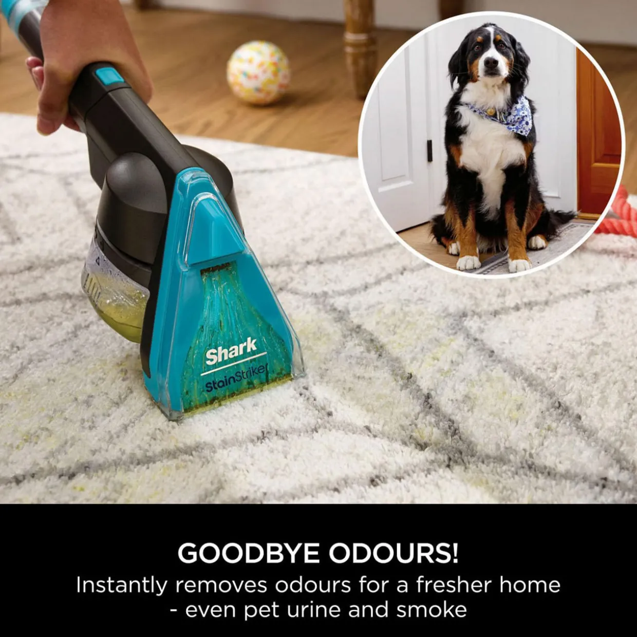 CarpetXpert Pet Pro