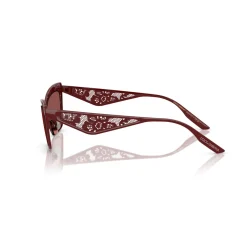 Cat Eye Sunglasses DG2311