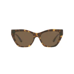 Cat Eye Sunglasses EA4176