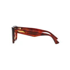Cat Eye Sunglasses 6J000392
