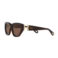 Cat Eye Sunglasses 6N000529