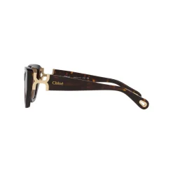 Cat Eye Sunglasses 6N000529