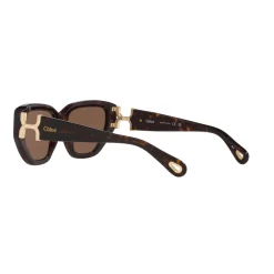 Cat Eye Sunglasses 6N000529
