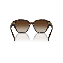 Cat Eye Sunglasses RA5315U
