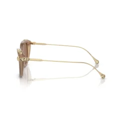 Cat Eye Sunglasses SK6010