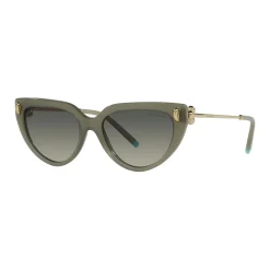 Cat Eye Sunglasses TF4195