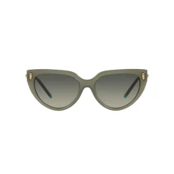 Cat Eye Sunglasses TF4195