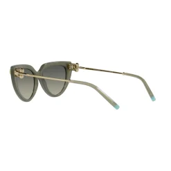 Cat Eye Sunglasses TF4195