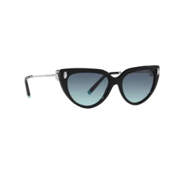 Cat Eye Sunglasses TF4195
