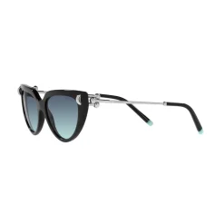 Cat Eye Sunglasses TF4195