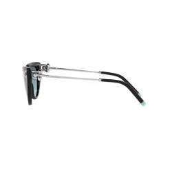 Cat Eye Sunglasses TF4195