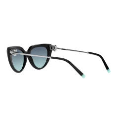 Cat Eye Sunglasses TF4195