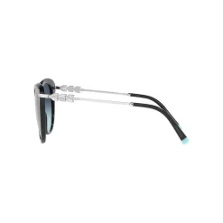 Cat Eye Sunglasses TF4189B