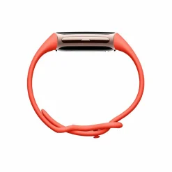 Charge 6 Coral-Champagne Gold Case