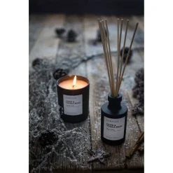 Cider And Tonka Bean Candle