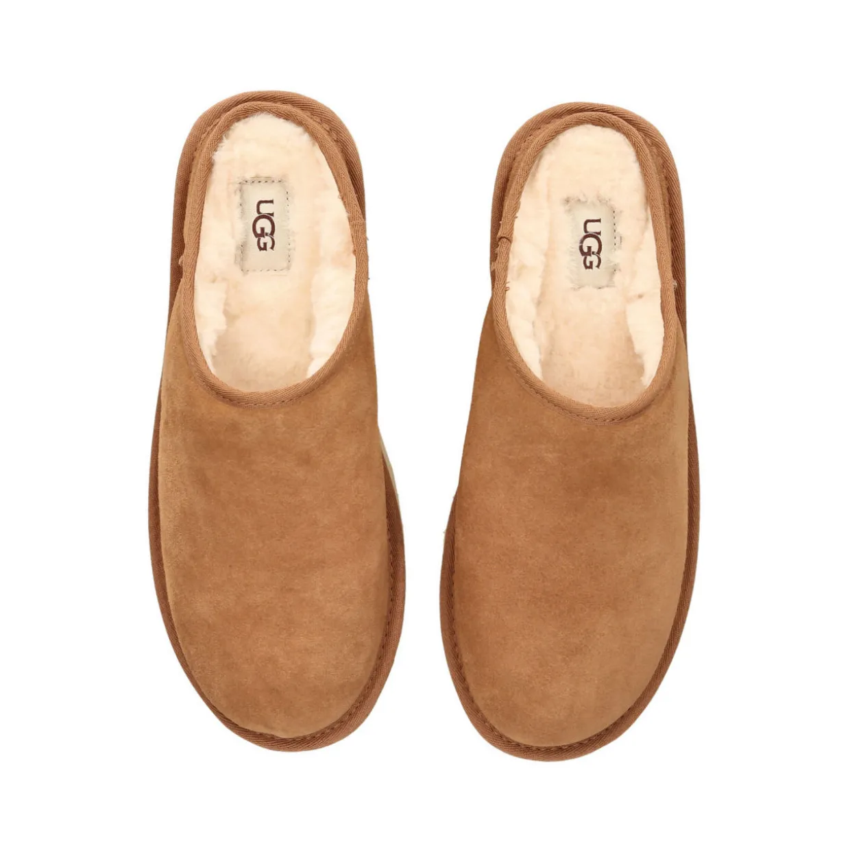 Classic Slippers