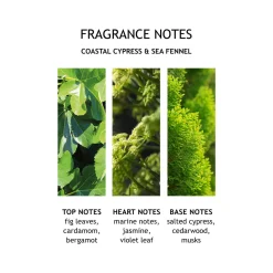 Coastal Cypress & Sea Fennel Fine Liquid Hand Wash