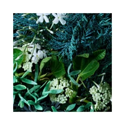 Coastal Cypress & Sea Fennel Fine Liquid Hand Wash