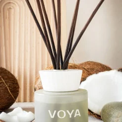 Coconut & Jasmine Reed Diffuser