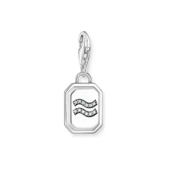 3D Aquarius Star Sign Charm