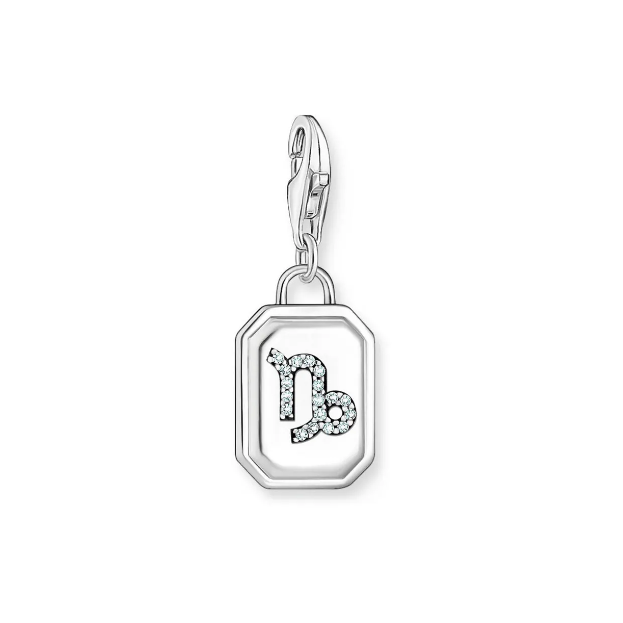 3D Capricorn Star Sign Charm
