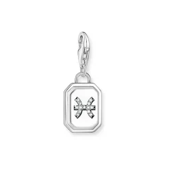 3D Pisces Star Sign Charm
