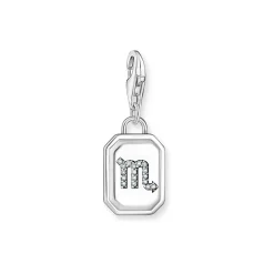 3D Scorpio Star Sign Charm