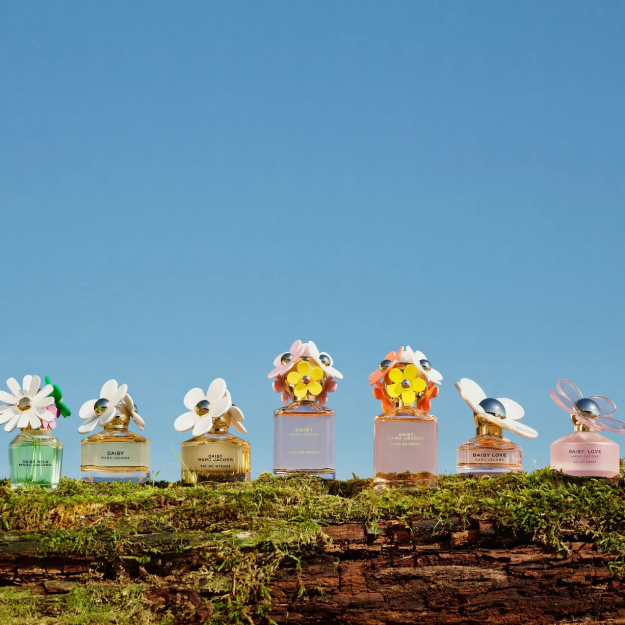 Daisy EDT