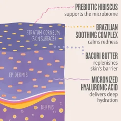 Delicia Drench Body Butter