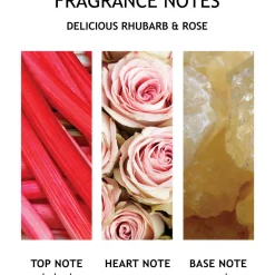 Delicious Rhubarb & Rose Hand Wash