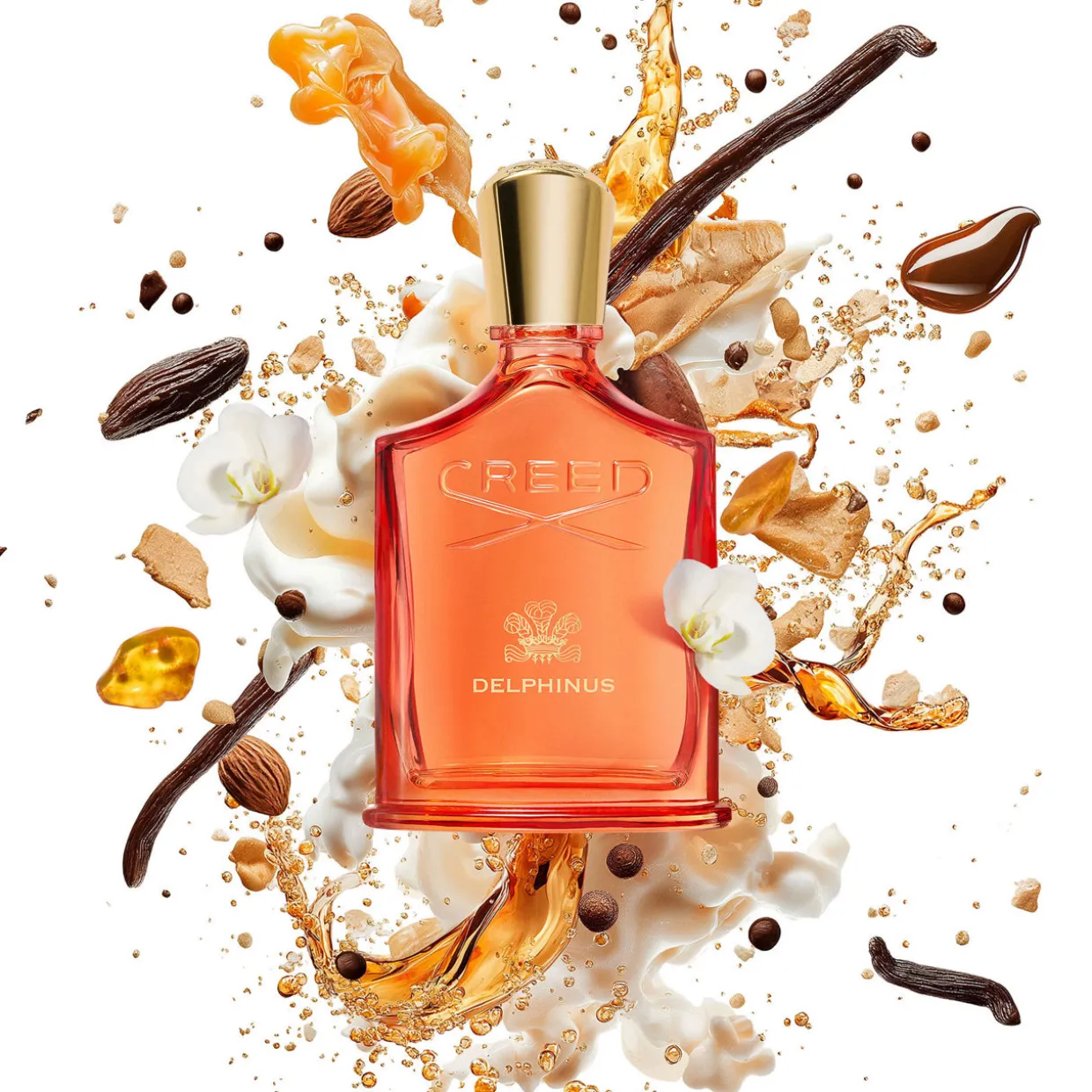 Delphinus EDP