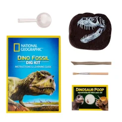 Dino Fossil Dig Kit