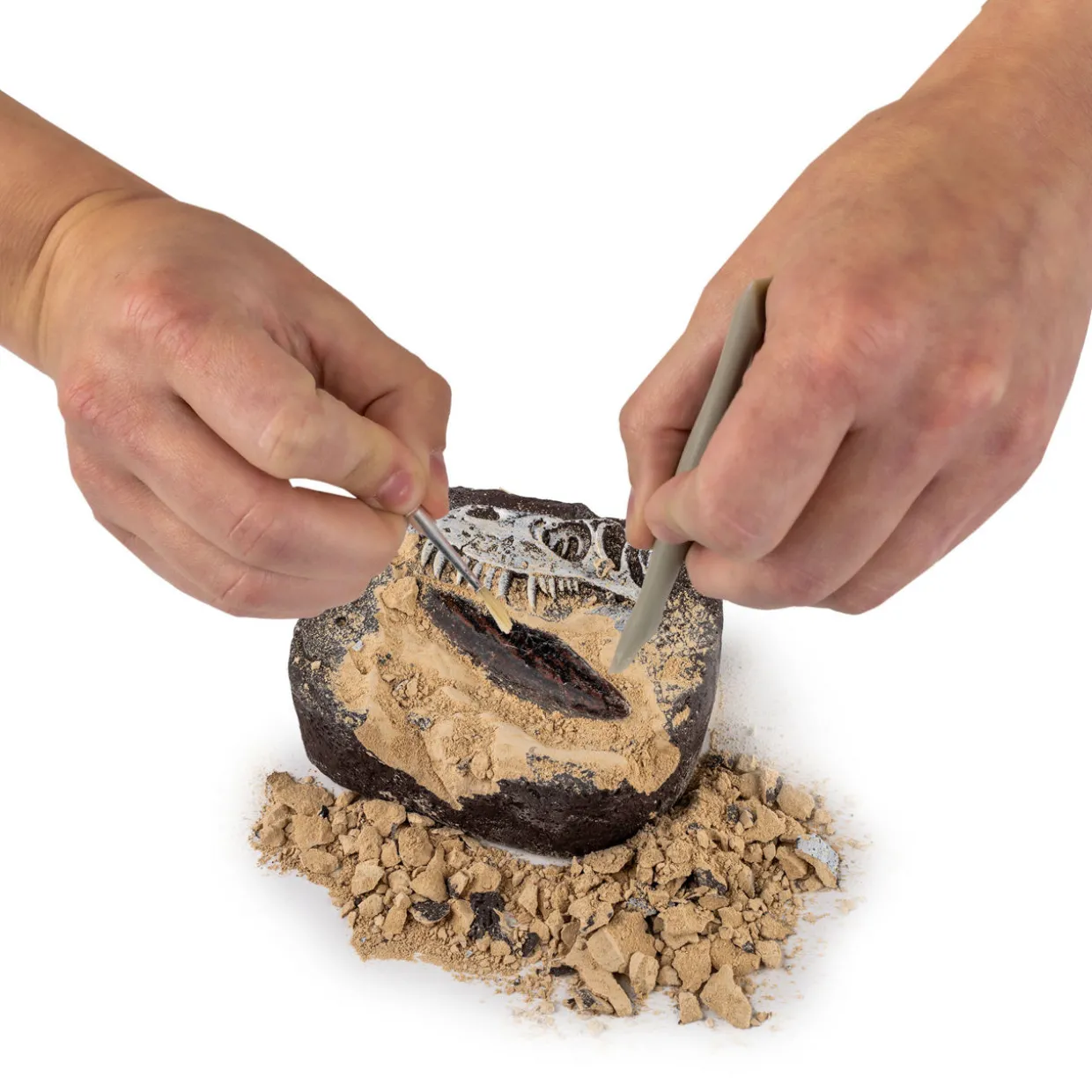 Dino Fossil Dig Kit