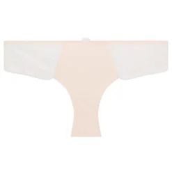 Délice Lace Panel Briefs