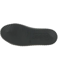 Dolly Trainers