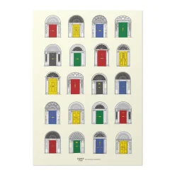Dublin Georgian Door Print